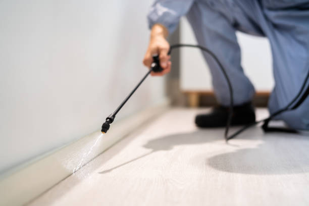 Bed Bug Pre-Treatment Preparation Assessment in Titusville