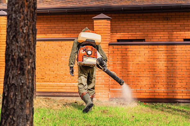 Bed Bug Clearance Verification and Documentation in Titusville